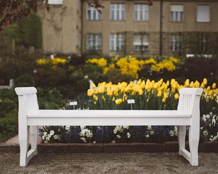 Få mere hygge i din have med en havebænk